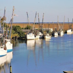 Shrimp boats in dock