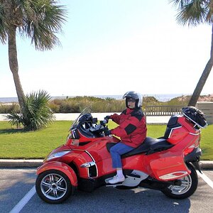 Official backseat driver and unofficial tour guide overlooking the Atlantic at Jekyll Island