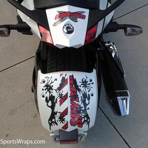 Rear fender and tail