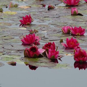 26June2012 Normandy Landing Beaches (34)