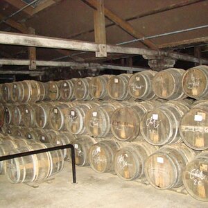 29June2012 Cognac (43)