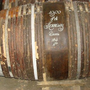 29June2012 Cognac (49)