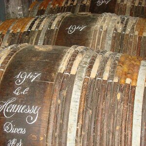 29June2012 Cognac (55)