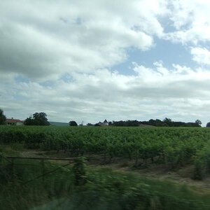 29June2012 NAM Bordeaux (8)