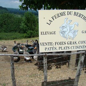 30June2012 Rocamadour (1)