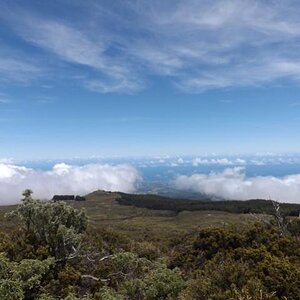 Above the clouds--Haleakala--Maui