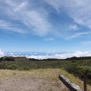 On the road--Haleakala