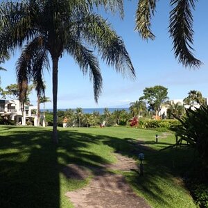 Wailea Palms--Maui