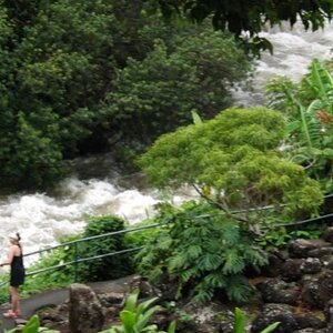 Iao Needle Area--Maui