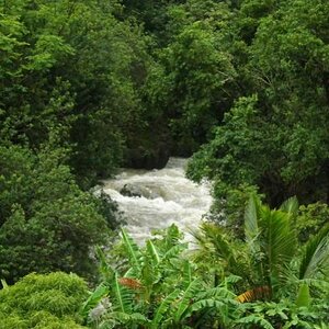 Iao Needle area--Maui