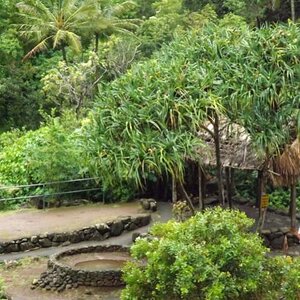 Iao Needle area--Maui