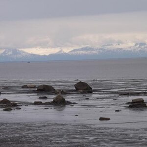 2013 Cook Inlet
