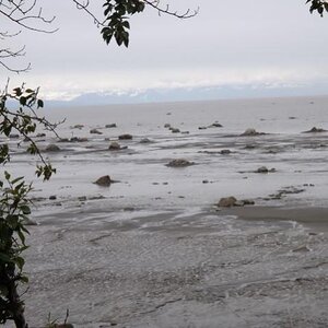 2013 Cook Inlet