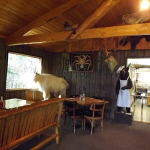 2013 Longrifle Lodge