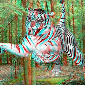 3D Tiger