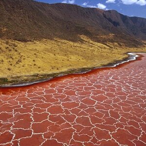 Natron Lake, Tanzania