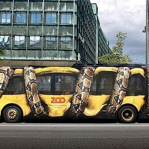 ZooBus