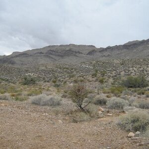 Valley of Fire--Nevada