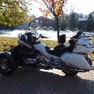 Divan novembarski dan 068 (200x113)