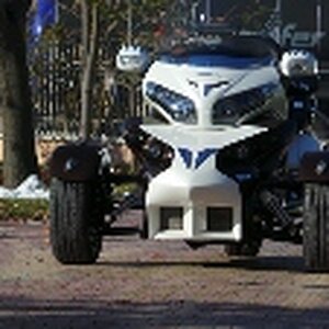 Divan novembarski dan 065 (200x113)