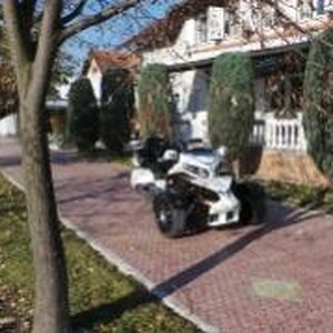 Divan novembarski dan 080 (320x180)