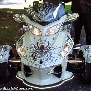 Woody web design produced on transparent film with 3D web and Bellerdine spider.