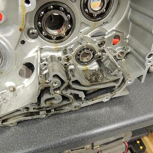 Filings inside the engine of chewed up clutch plates.