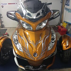 Barbwire 101 Silver / Black 3D accents looks great on the new Cognac or all other Spyder colors.