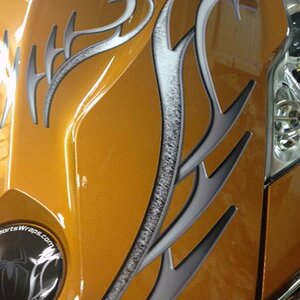 Barbwire 101  A close up so you can see the 3D effects and colors. This looks just like air brush without the high cost.