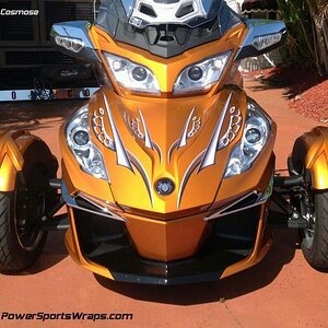 Cosmose- Special thanks to Cary D. for sending us these photos