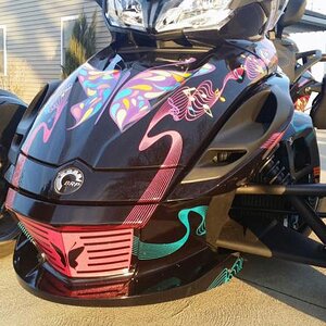 ST Ultra Metallic - Notice how the design all flows from the lower air dam desgin.