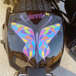 ST Ultra Metallic- She wanted to have the theme represented from behind as well.