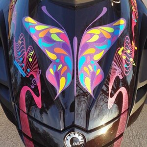 Notice this unique look she wanted using the Ultra Metallic colors and then applying the large variety of colors on top of the butterfly.