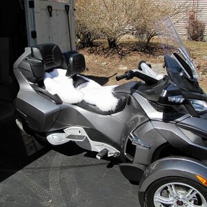 IMG 1948   Copy (800x600)