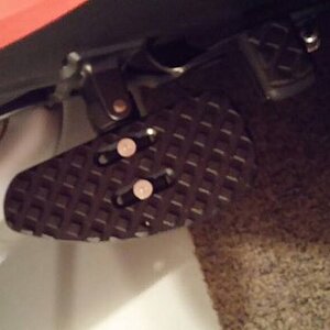 1799878 10201982653660961 1906574320 o