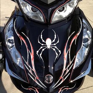 Barbwire Red Lightning - Order your kit today.  814-838-6377