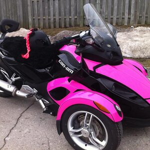 Solid Pink RS pre cut 2