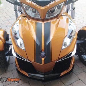 RT-GT 3M Carbon Fiber racing stripes