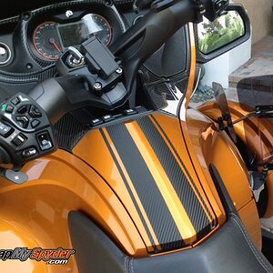 RT-GT 3M Carbon Fiber racing stripes