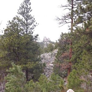 Rushmore area 5/2014