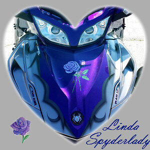 SpyderLady Lina wRose