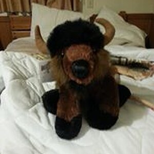 Billy Buffalo from Cody