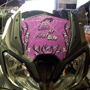 ST windshield- custom desing