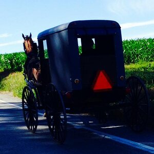 Amish Spyder.....


01ba4f711b6313e790f97b4d3d220ce3a89ded5cb9