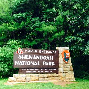 01e43d3e93dfa85916c6a4fc3315d77154a8be7bac