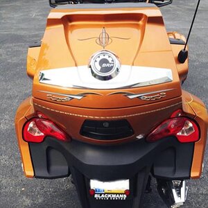 Cosmos - Gray back bar section