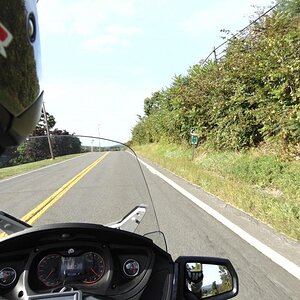 DSC00216
The Trip Up