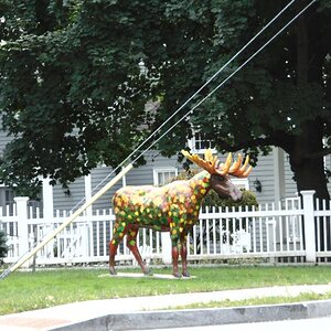 DSC00315
Bennington Monument Mount Equinox