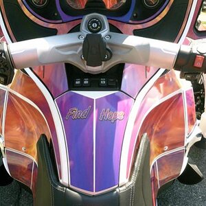 C buck optional Dash Skinz kit available on our website:  www.wrapmyspyder.com