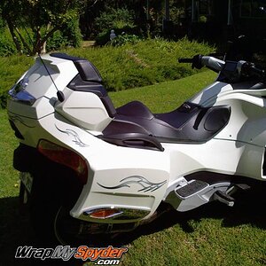 Barbwire 101 Gray sides